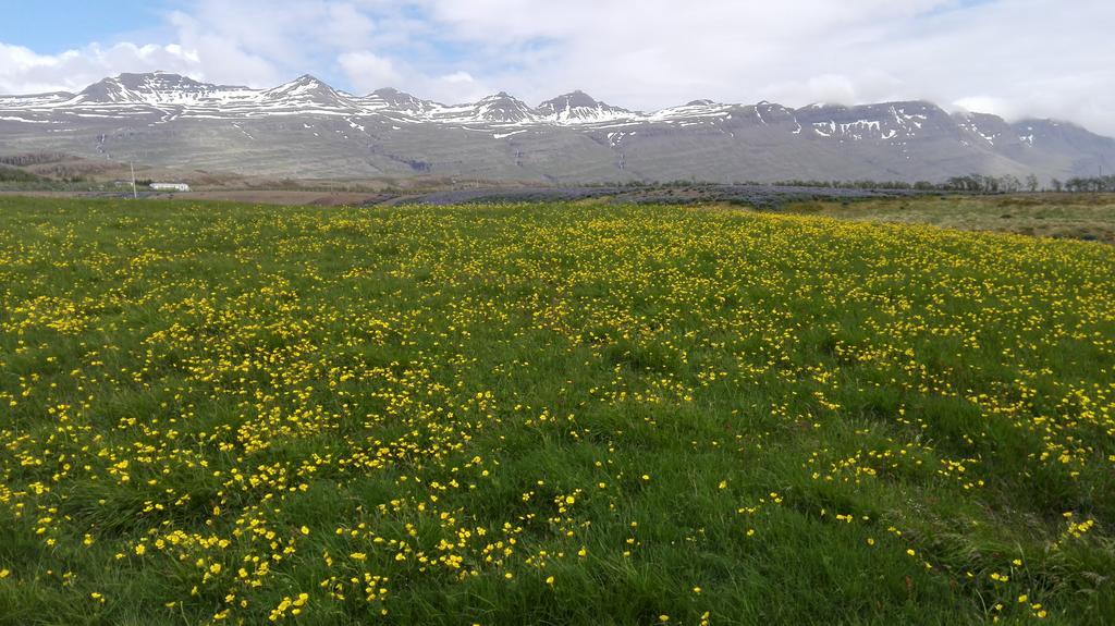 Hotel Stadarborg Breiðdalsvík Exteriör bild